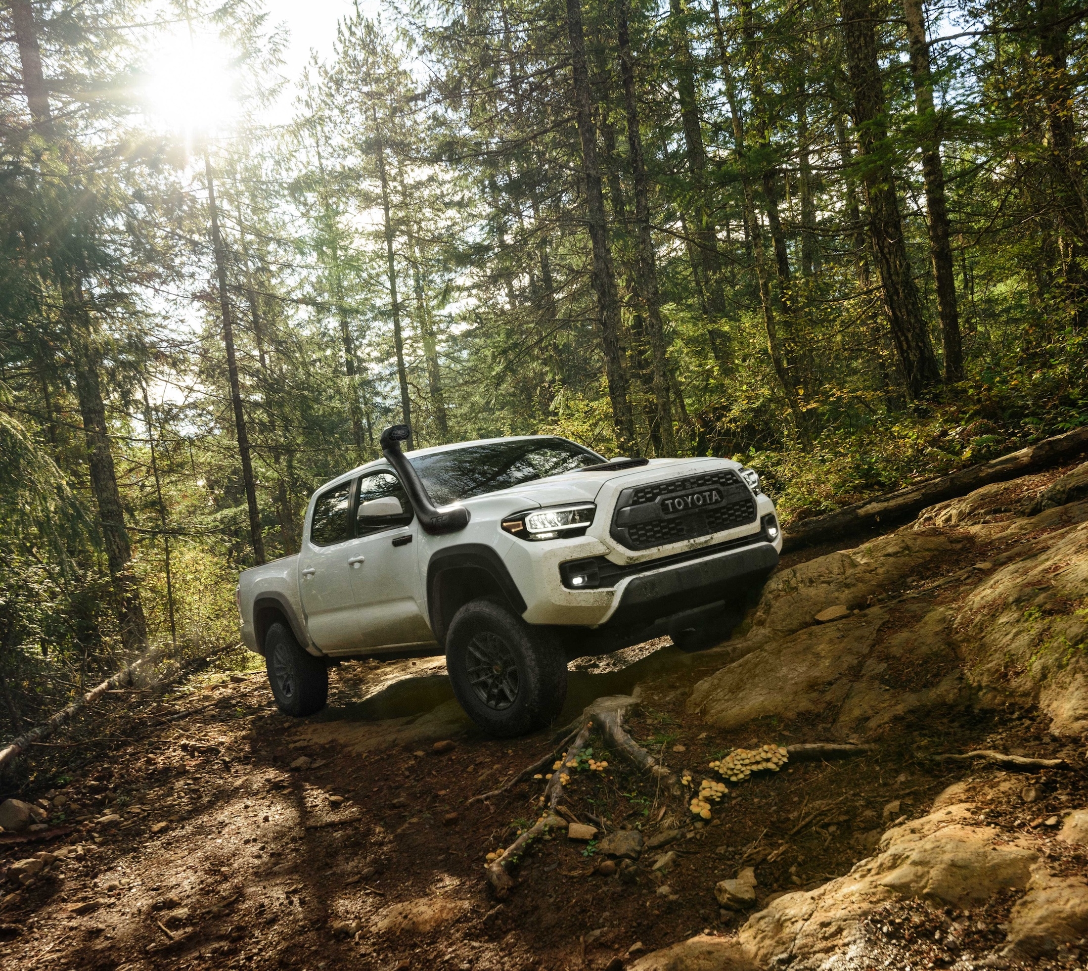 2020 Toyota Tacoma Upgrades, including the TRD Pro